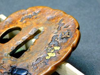 Very Rare Beetle TSUBA 18 - 19thC Japanese Edo Tsuba Koshirae Antique 7