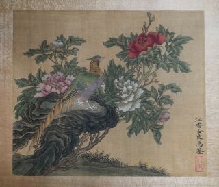 19 C Antique Chinese Silk Painting Bird And Flower Qing Dynasty