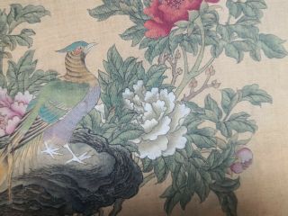 19 C Antique Chinese Silk Painting Bird and Flower Qing Dynasty 5