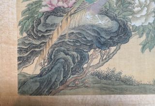 19 C Antique Chinese Silk Painting Bird and Flower Qing Dynasty 6