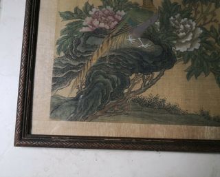 19 C Antique Chinese Silk Painting Bird and Flower Qing Dynasty 8