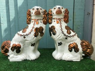 Pair: 19thc Large Staffordshire Copper Lustre & White Spaniel Dogs C1880s