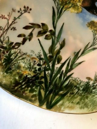 Antique Rutherford B Hayes Presidential White House China Porcelain Plate 1880 ' s 6