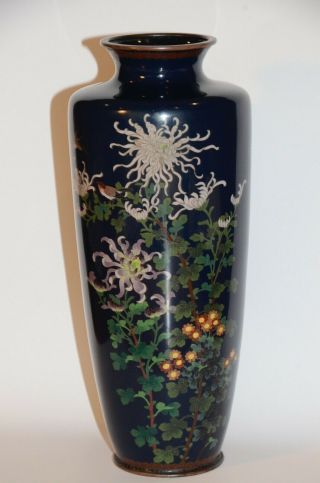 Vintage Japanese Cloisonne Meiji Vase Silver Wire.  No Damage.  Chrysanthemum Blue