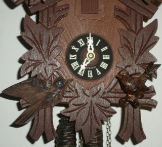 VERY RARE GERMAN BLACK FOREST 4 BIRDS & NEST HAND CARVED CUCKOO CLOCK 3