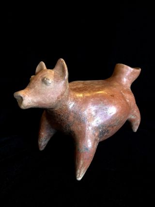 Pre Columbian,  West Mexico,  Large Colima Redware Dog Vessel,  From Gallery
