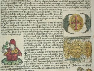 RARE Colored Nuremberg Chronicle Incunabula Leaf,  German Ed,  Page CCIII,  1493 2