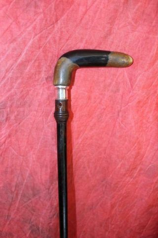 Rare Antique 2 Color Horn Handled Cane W/Sterling Silver Collar & Brass Tip 2