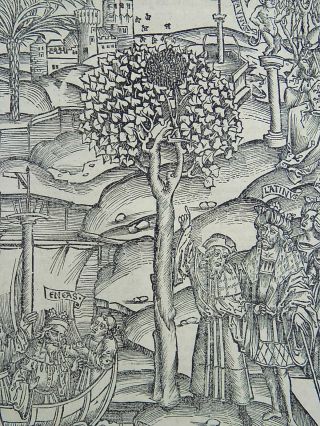 1502 Grüninger Master Incunabula Woodcut Bees - King Latinus & Oracle