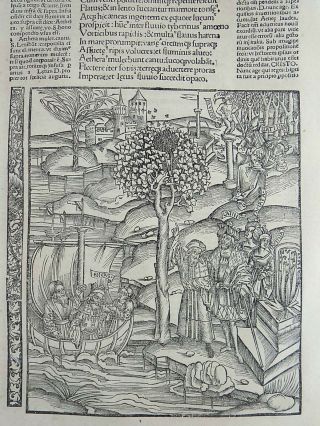 1502 Grüninger Master INCUNABULA WOODCUT Bees - King Latinus & Oracle 3
