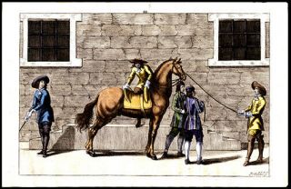 347 Yr Old 1st Ed Equestrian Dressage Von Adlersflùgel Engraving Hand - Colored