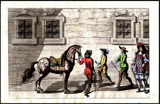 1672 Rare Equestrian Dressage Print Von Adlersflùgel Engraving Hand - Colored