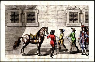 1672 Rare Equestrian Dressage Print von Adlersflùgel Engraving Hand - Colored 2