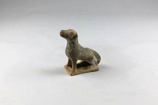 Rare Antique Chinese Tang Dynasty Earthenware Seated Dog Figure Mingqi