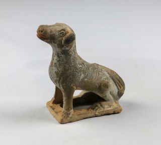 Rare Antique Chinese Tang Dynasty Earthenware Seated Dog Figure Mingqi 2