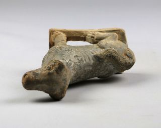 Rare Antique Chinese Tang Dynasty Earthenware Seated Dog Figure Mingqi 6