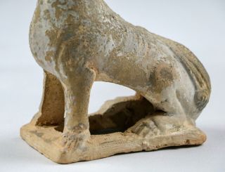 Rare Antique Chinese Tang Dynasty Earthenware Seated Dog Figure Mingqi 9