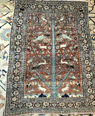 Auth: 19th C Antique Tabrize Rug Waq Waq Tree Collectors Masterpiece 55xx74 " Nr