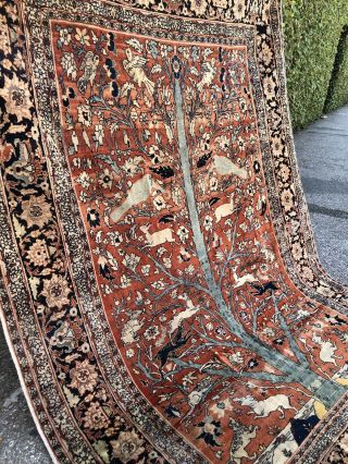 Auth: 19th C Antique Tabrize Rug Waq Waq Tree Collectors Masterpiece 55xx74 