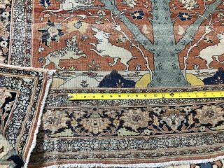 Auth: 19th C Antique Tabrize Rug Waq Waq Tree Collectors Masterpiece 55xx74 