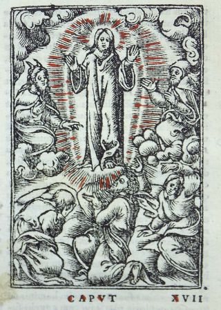 1541 Regnault Bible - Fine Rubricated Woodcut Leaf - The Transfiguration