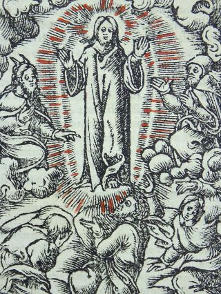1541 REGNAULT BIBLE - Fine rubricated woodcut leaf - The Transfiguration 2