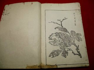 1 - 15 RARE Japanese GASOKU4 ehon Woodblock print BOOK 11