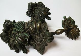 A Pair 19th Century Rococo Revival Floral Organic Brass Curtain Tie Backs