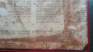 2 Incunabula Manuscript Leaf Vellum 15th Century Rubricated Not a Clue 8