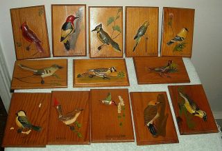 13 Wood Carved Bird Placques 3d Figures Wall Placque