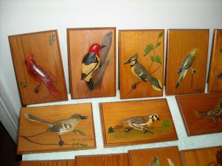 13 WOOD CARVED BIRD PLACQUES 3D FIGURES WALL PLACQUE 5