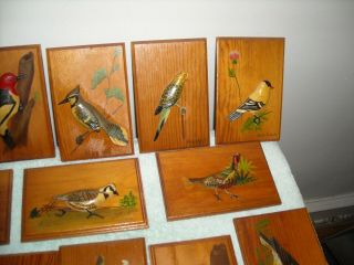 13 WOOD CARVED BIRD PLACQUES 3D FIGURES WALL PLACQUE 6