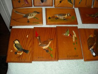 13 WOOD CARVED BIRD PLACQUES 3D FIGURES WALL PLACQUE 7