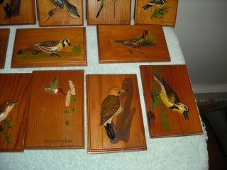 13 WOOD CARVED BIRD PLACQUES 3D FIGURES WALL PLACQUE 8