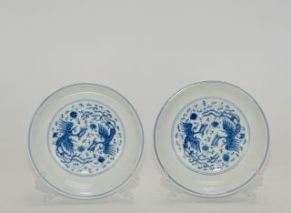 Fine Chinese Ming Chenghua Style Blue And White Phoenix Porcelain Plate
