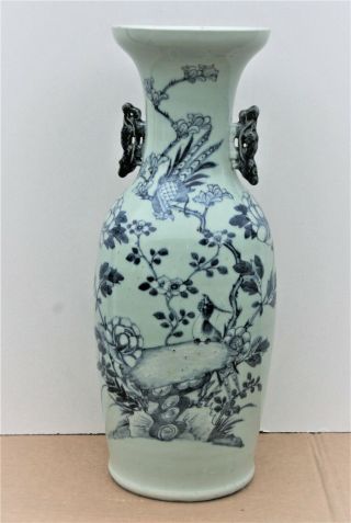 19th C.  Chinese Porcelain Celadon Blue And White Painted Vase 23  Tall