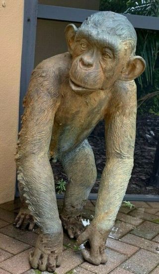 Old Bronze Life Sized Chimpanzee Statue.