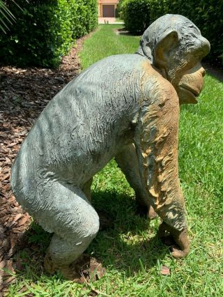 Old Bronze life sized chimpanzee statue. 2