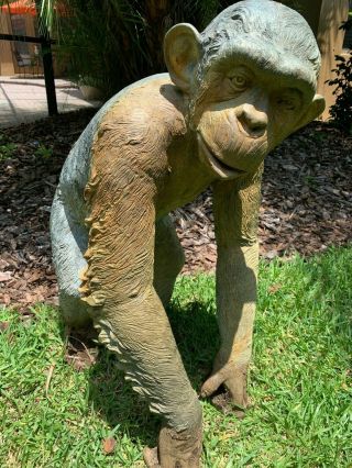 Old Bronze life sized chimpanzee statue. 4