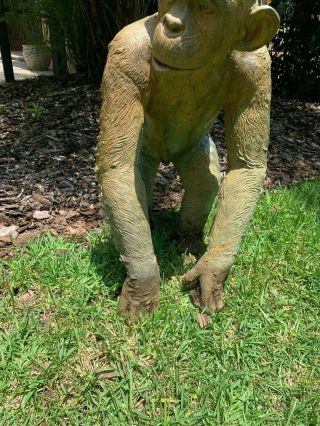 Old Bronze life sized chimpanzee statue. 5