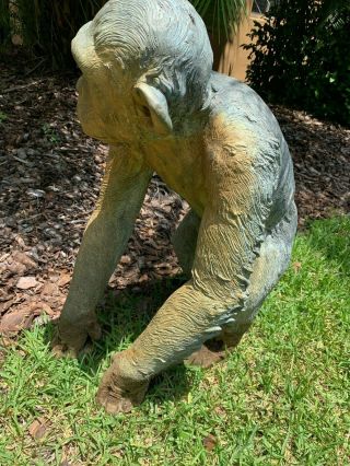 Old Bronze life sized chimpanzee statue. 6