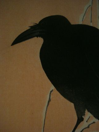 Rare Ohara Koson Shoson Japanese Color Woodblock Print,  Crow on Branch 4