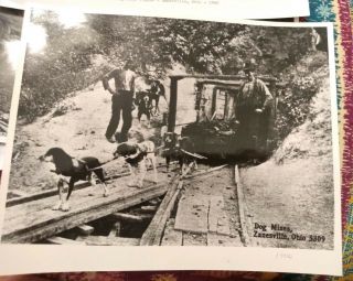 Anthracite Coal Mining and Miners Mine early 1900 ' s OH PA WV Dog Ox Cannelton Mt 4