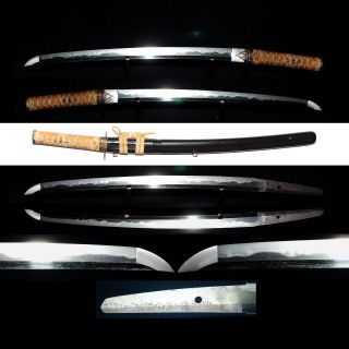 Wakizashi Antique Japanese Sword 50.  5cm Signed 貞次 Sadatsugu,  W/ Koshirae,  Edo