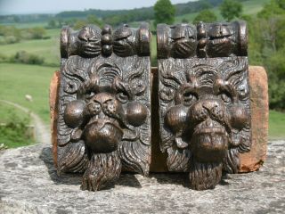 Pr Early Gothic Oak Carved Lion Head Corbels C.  1600 