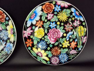 Impressive Chinese Antiques Porcelain Oriental Famille Noire Dishes 9