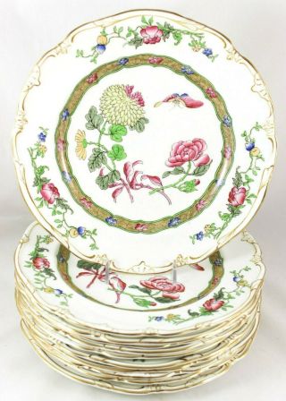 Antique Set 11 Dinner Plates G Jones Crescent China 19690 Butterfly Flowers Gold