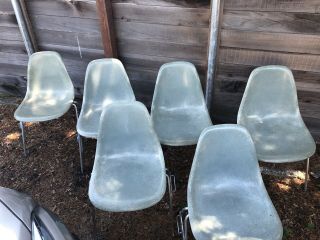 Vintage Eames Herman Miller Sea Foam Green Fiberglass Shell Chairs Mid Century