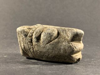 Very Rare Ancient Pre Columbian Carved Stone Mayan Jaguar Head Circa 700 - 1200bce