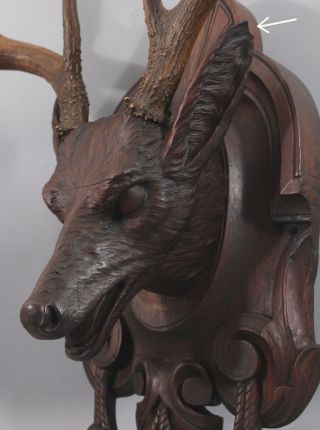 19th Antique Life Size Carved Walnut Black Forest Stag Deer Head,  Victorian,  NR 12